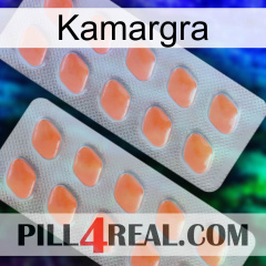 Kamargra 27